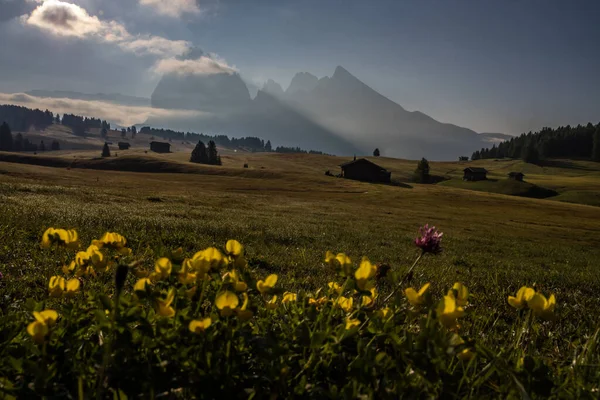 Lever Soleil Sur Pré Montagne Seiser Alm Dans Les Dolomites — Photo