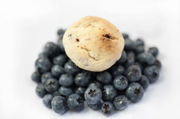 Galleta de arándanos hecha a mano — Foto de Stock