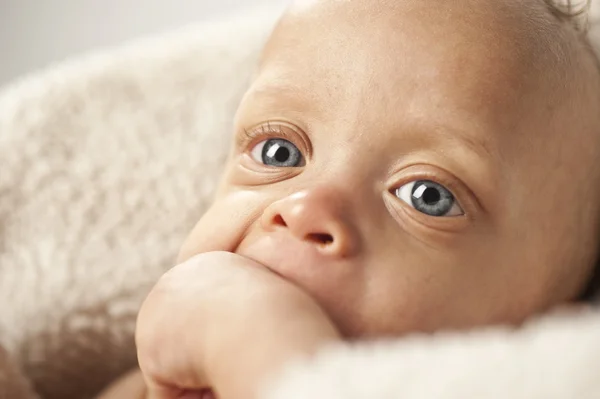 Sød baby på hvid - Stock-foto