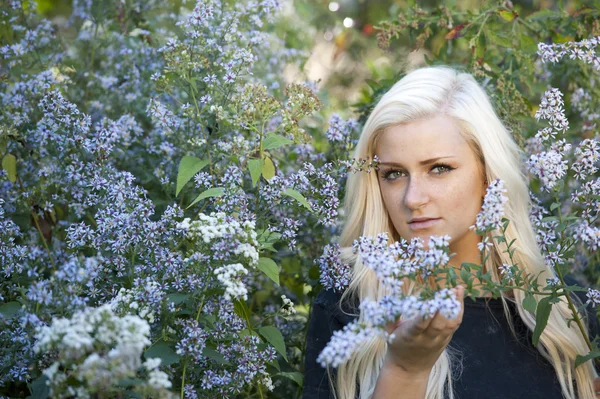 Atraktivní ženská blondýna pózuje — Stock fotografie