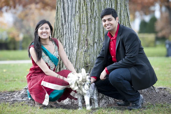 Mladý šťastný indický pár pózuje s slon — Stock fotografie