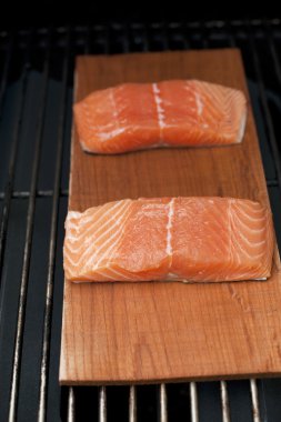 Yaban Alaska somon fileto