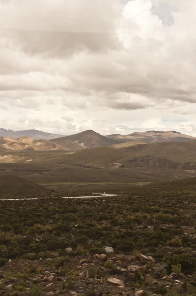 Salinas  Aguada Blanca National Reserve — Stock Photo, Image