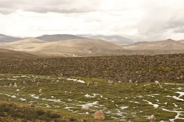 Peruánský krajina poblíž Arequipa — Stock fotografie