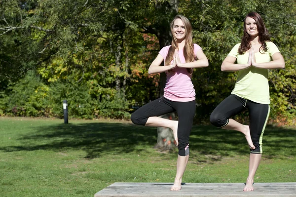Unga flickor gör yoga — Stockfoto