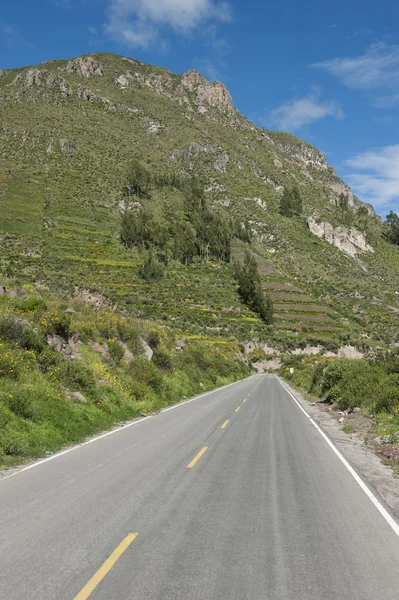 Arequipa yakınındaki Perulu karayolu — Stok fotoğraf