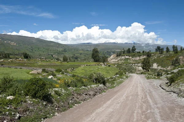 Arequipa yakınındaki Perulu karayolu — Stok fotoğraf