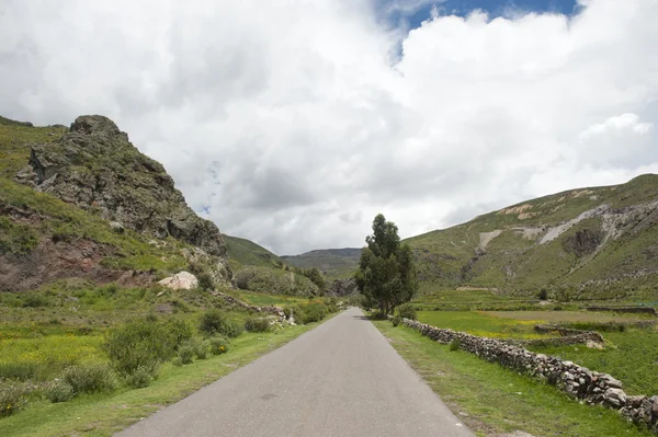 Route péruvienne — Photo
