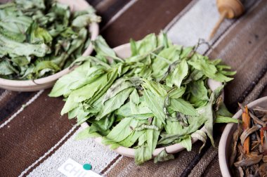 Chilca boya fabrikasında bir lama grubu