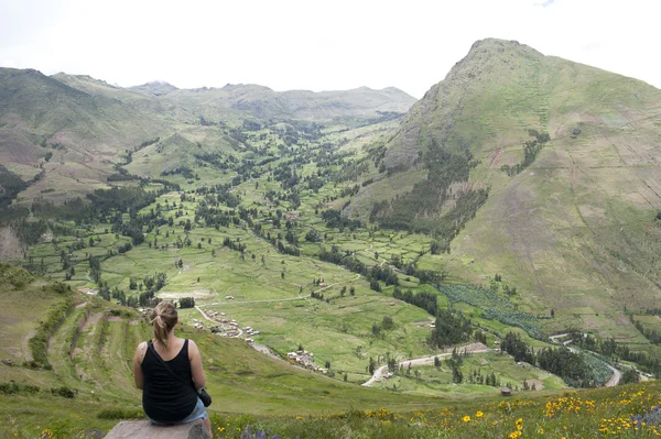 Beautiful Peruvian landscape — Stock Photo, Image