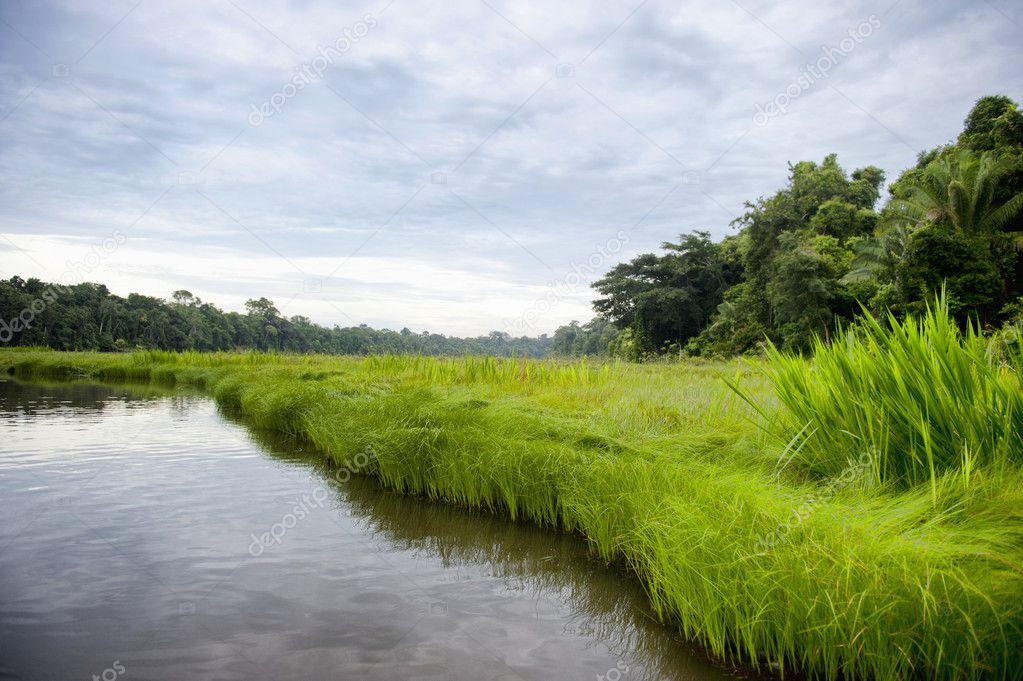 River at Tambopata Province