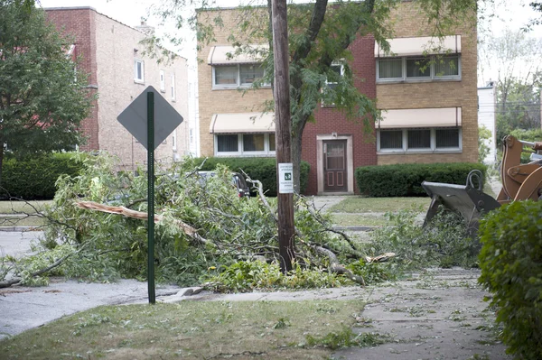 Truck removing broken fallen branches — Stock Photo, Image