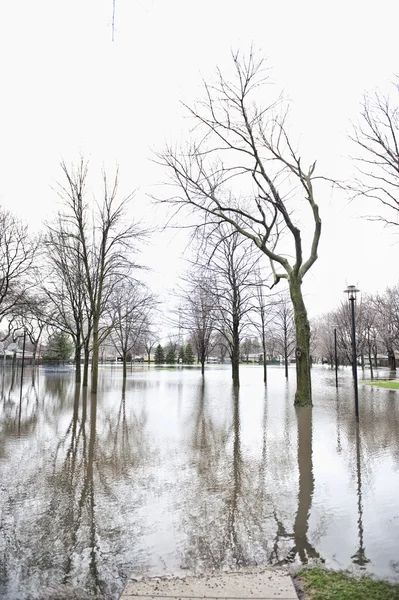 Flooded park underwater in the Chicago area — Stock Photo, Image