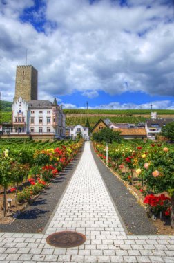 ruedelsheim, hessen, Almanya