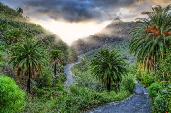Palmen und Serpentinen in der Nähe von Masca Dorf mit Bergen, Teneriffa — Stockfoto