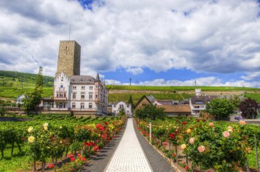 , Ruedelsheim, Rhein-main-pfalz, Almanya
