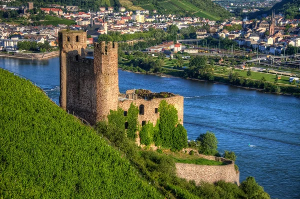 , Ruedelsheim, Rhein-Main-Pfalz, Duitsland — Stockfoto