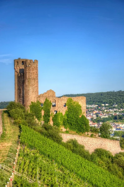 , Ruedelsheim, Rhein-Main-Pfalz, Německo — Stock fotografie