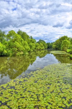 Fulda nehir aueweiher parkında fulda, hessen, Almanya