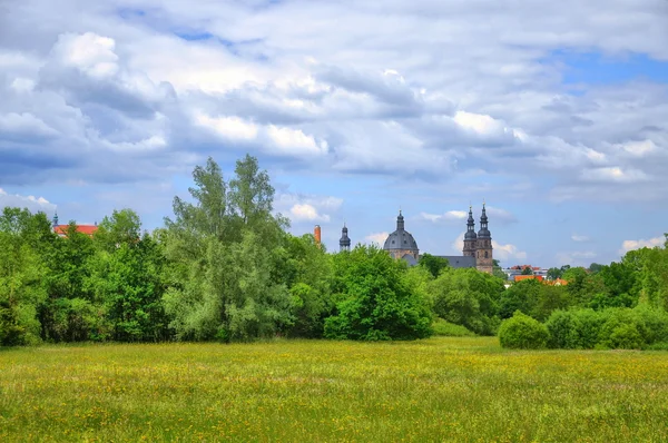 Pole w parku aueweiher w fulda Hesja, Niemcy — Zdjęcie stockowe