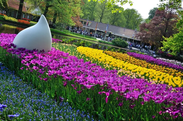 Purple, yellow, white and blue tulips with a big white drop in K