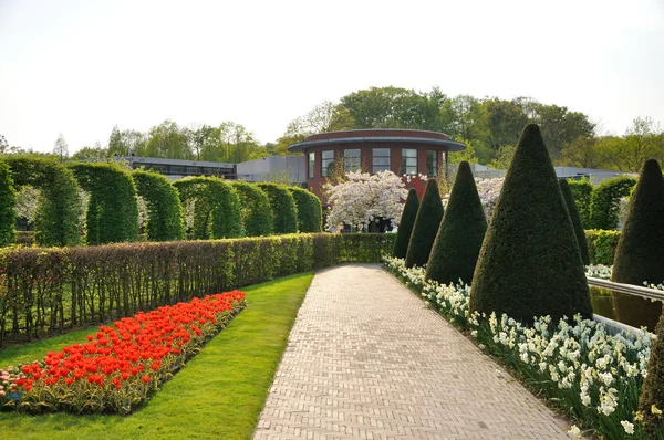 Jardim com arbustos, flores vermelhas e brancas e árvores em Keukenhof — Fotografia de Stock