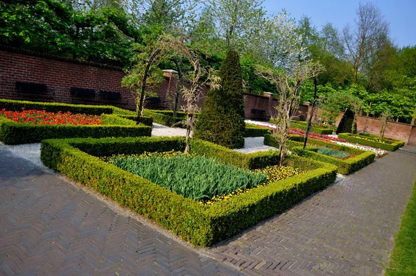 Tuin met kleine struiken in de keukenhof park in Nederland — Stockfoto