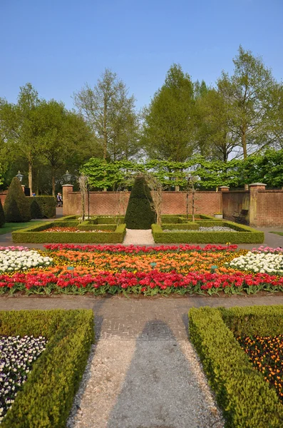 Giardino con piccoli cespugli, tulipani bianchi, arancioni e rossi a Keuken — Foto Stock