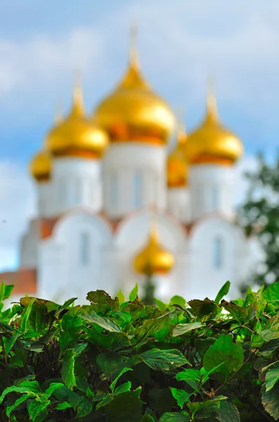 Catedral de la Asunción con cúpulas doradas, Yaroslavl, Rusia —  Fotos de Stock