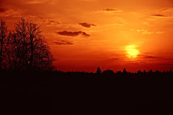 Belo pôr do sol vermelho sobre a floresta, Dmitrov, região de Moscou, Ru — Fotografia de Stock