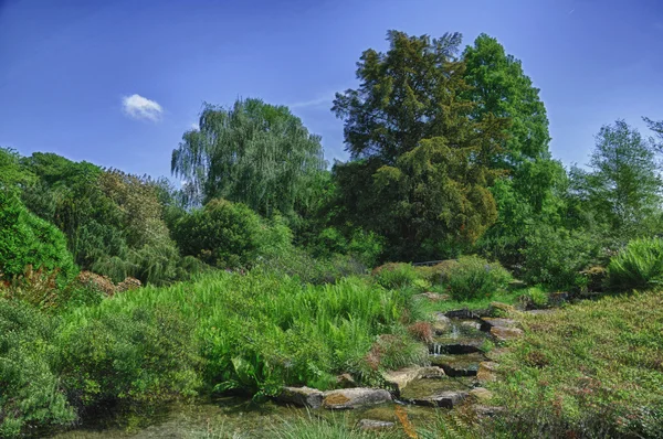 Natureza HDR em Palmen Garten, Frankfurt am Main, Hessen, Alemanha — Fotografia de Stock