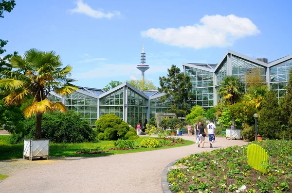 Naturen av palmen garten, frankfurt am main, hessen, Tyskland — Stockfoto