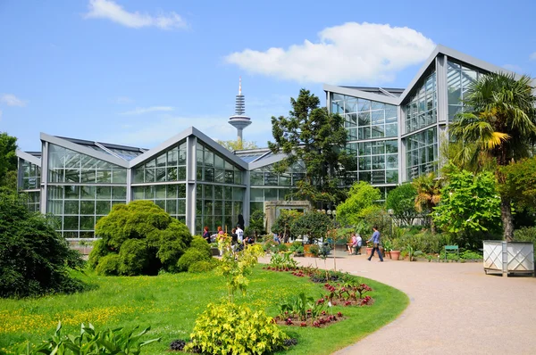 Naturaleza de Palmen Garten, Fráncfort del Meno, Hesse, Alemania — Foto de Stock