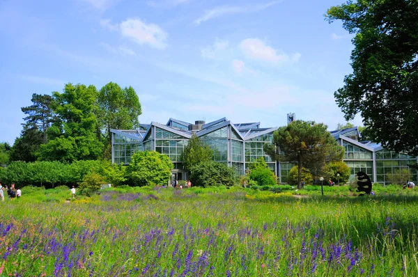 Povaha palmen garten, frankfurt am main, Hesensko, Německo — Stock fotografie