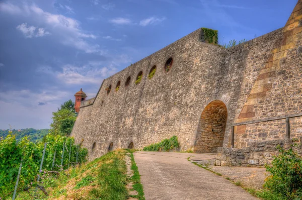 Kamenné zdi z pevnosti Marienberg (hrad) prostřednictvím hrozny fje — Stock fotografie