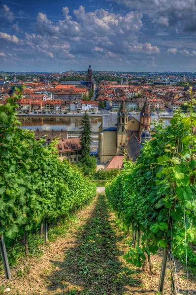 Visa från Marienberg-fästningen (slott) genom druvor till Wurzbur — Stockfoto