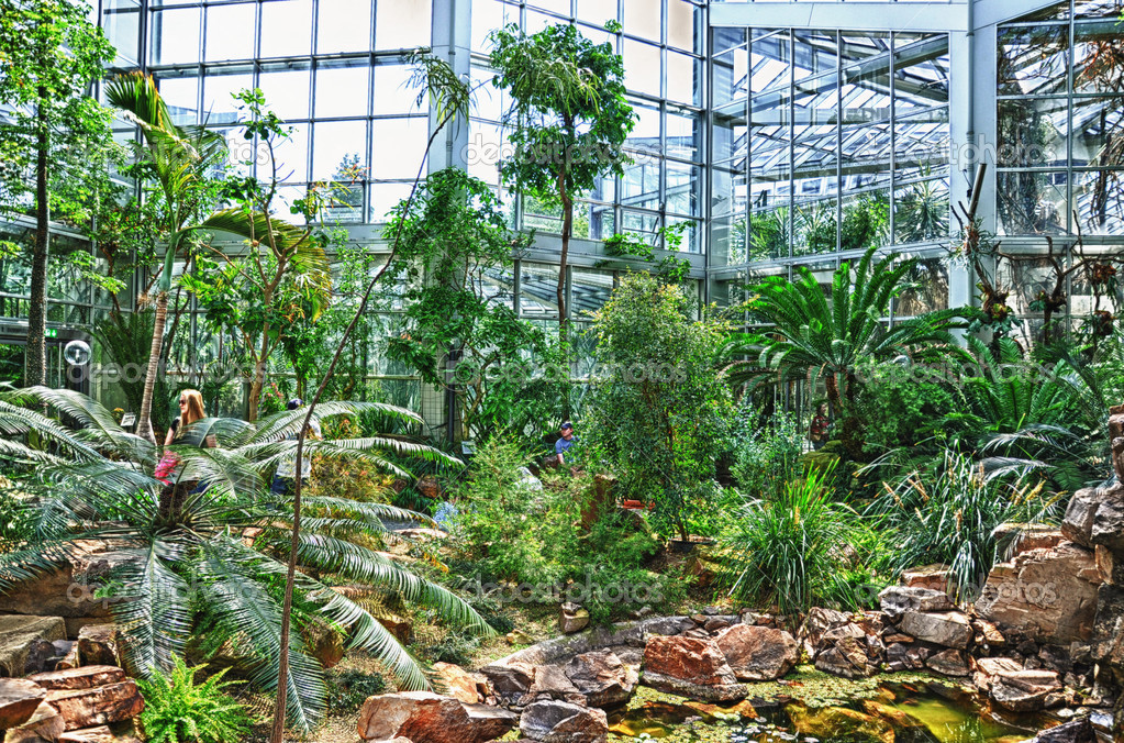 Hdr Jungles In Palmen Garten Frankfurt Am Main Hessen Germany