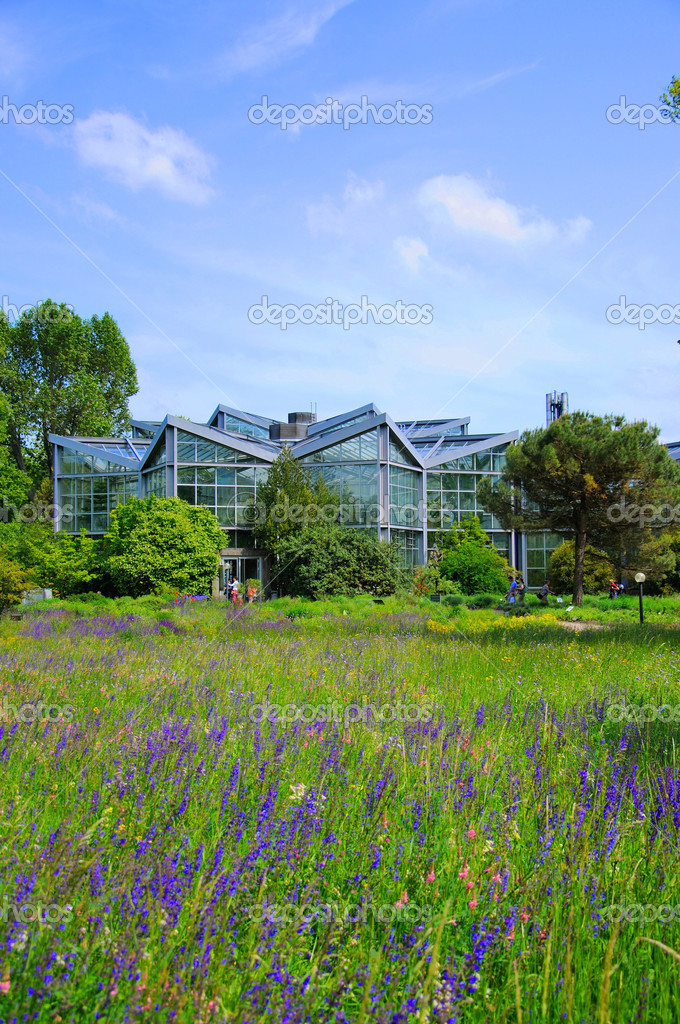 Nature Of Palmen Garten Frankfurt Am Main Hessen Germany