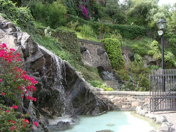 과달루페 정원 — 스톡 사진