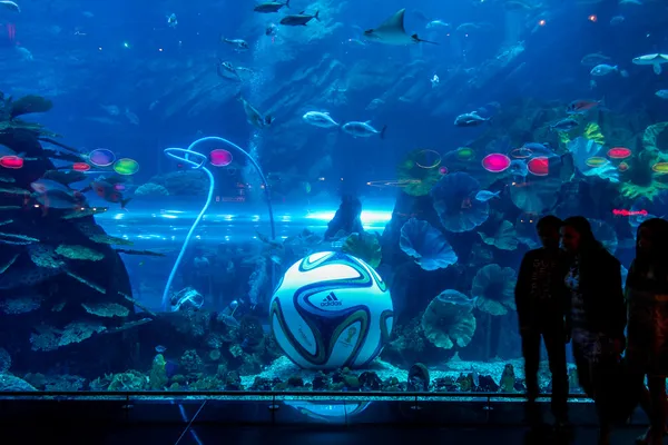 DUBAI, Émirats arabes unis - 23 DÉCEMBRE : Aquarium au Dubai Mall - le plus grand centre commercial du monde, Downtown Burj Dubai 23 décembre 2013 à Dubaï, Émirats arabes unis — Photo