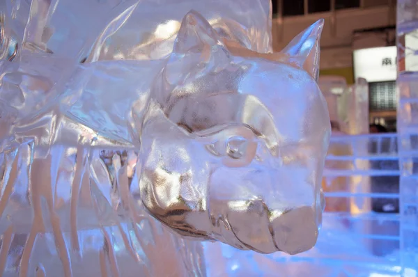 Den 33: e Susukino Ice Festival foto visar en isskulptur av en squrrel Royaltyfria Stockfoton