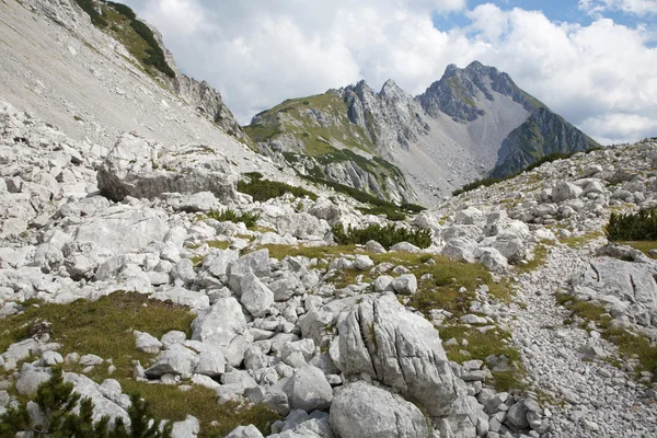 Kamnik - Alps - Vrtaca peak — Stock Photo, Image