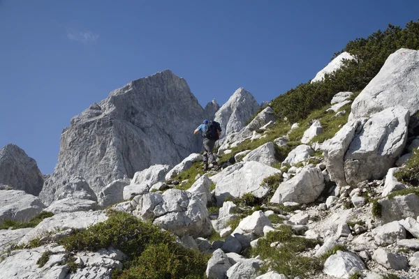 Alpi Giulie - Slovenia - strada per la vetta Jalovec — Foto Stock