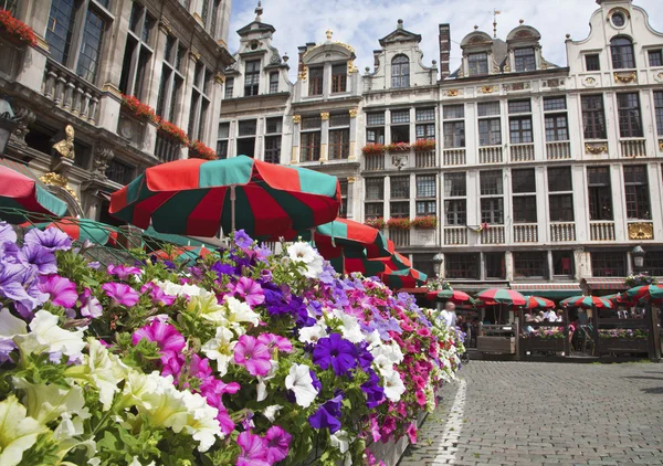 Bryssel - fasaden på palats från stora torget och blommorna. Grote markt. — Stockfoto