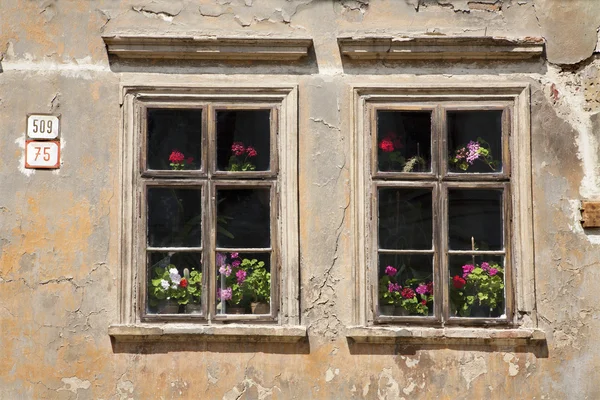 Oude windows — Stockfoto