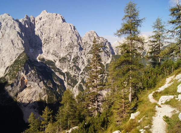 Alpi Giulie - Prisojnik picco da est — Foto Stock