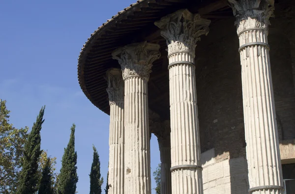 Świątynia Westy Rzym — Zdjęcie stockowe