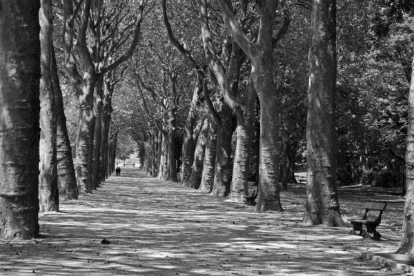 Bruxelles - ruelle dans le parc pour la basilique — Photo