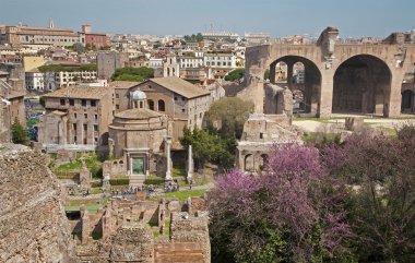 Roma - palatne Tepesi'nden Outlook'a forum romanum