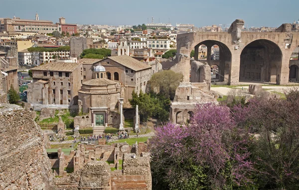 Roma - Perspectivas desde la colina Palatne hasta el Foro Romanum —  Fotos de Stock